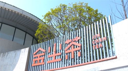 安顺经开区 打造新中式茶饮新风尚，赋能茶叶产业升级