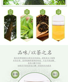 青钱柳茶叶摄影艺术 南阳淘邦以光影雕琢茶品灵魂